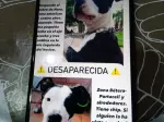 Miniatura 0
