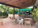 Miniatura 0