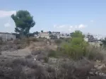 Miniatura 0
