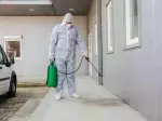 Miniatura 0