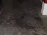 Miniatura 0