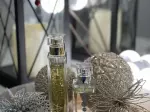 Miniatura 0