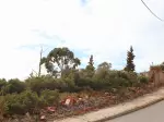 Miniatura 0