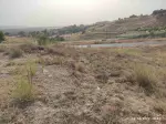 Miniatura 0