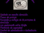 Miniatura 0