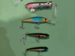 Miniatura 8