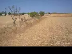 Miniatura 0