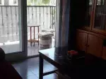 Miniatura 0