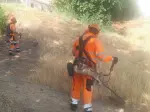 Miniatura 0
