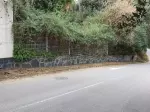Miniatura 0