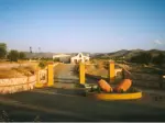Miniatura 0