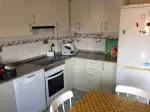 Miniatura 0