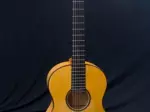 Miniatura 0