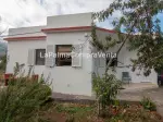 Miniatura 0