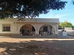 Miniatura 0