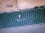 Miniatura 0
