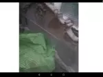 Miniatura 0