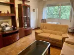 Miniatura 0
