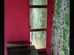 Miniatura 0