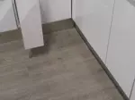 Miniatura 0