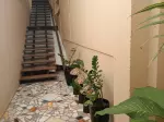 Miniatura 0