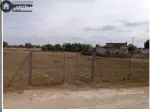 Miniatura 0
