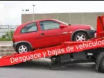Miniatura 0