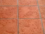 Miniatura 0