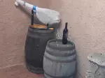 Miniatura 0
