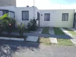 Miniatura 0
