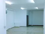 Miniatura 0