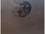 Miniatura 0