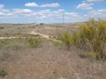 Miniatura 0