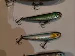Miniatura 8