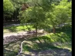 Miniatura 0