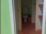 Miniatura 0