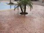 Miniatura 0