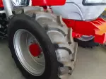 Miniatura 8