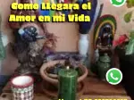 Miniatura 0
