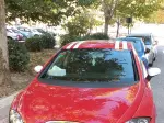 Miniatura 0