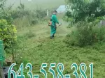 Miniatura 0