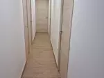Miniatura 0