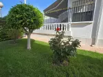 Miniatura 0