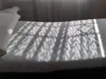 Miniatura 0