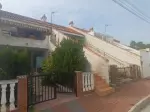 Miniatura 0