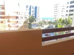 Miniatura 0