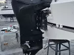 Miniatura 0