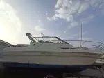 Miniatura 0