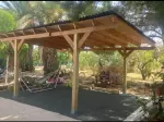 Miniatura 0
