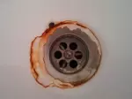 Miniatura 0